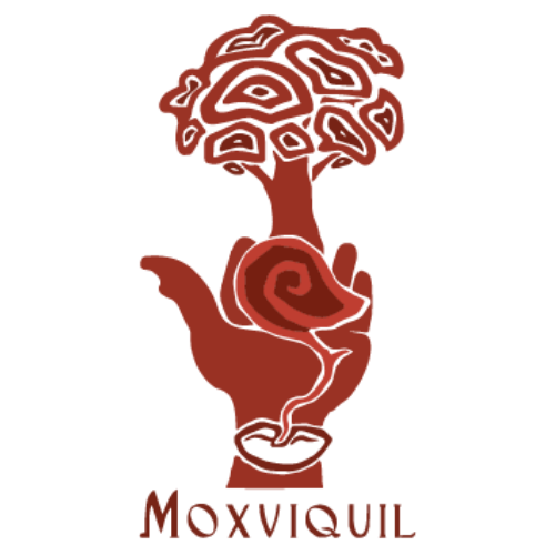 Moxviquil